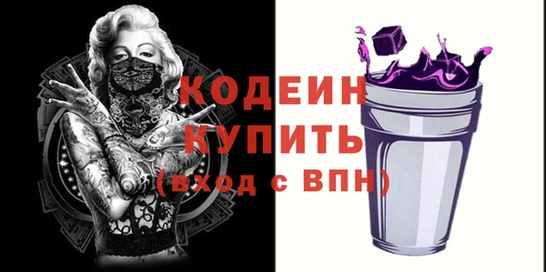МДПВ Иннополис