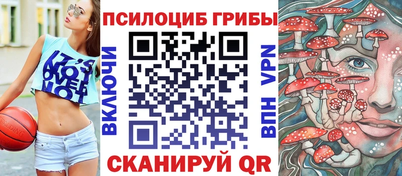 Купить  Томилино  Галлюциногенные грибы прущие грибы 