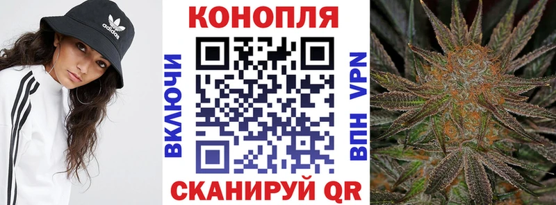 МАРИХУАНА план  Купить закладки  Томилино 
